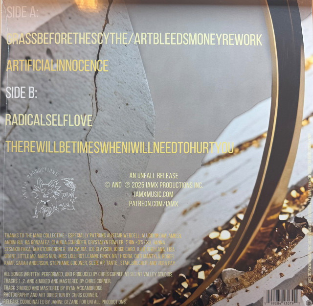 IAMX - Unmask Vinyl EP (Image 3 / Shop Art-No. iamx002) | neuwerk Music